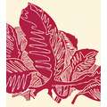 Tinta litográfica Gerstaecker, rojo rubí
