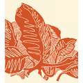 Tinta litográfica Gerstaecker, naranja benzedine