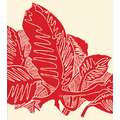 Tinta litográfica Gerstaecker, Rojo naftol
