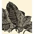 Tinta litográfica Gerstaecker, Negro carbón