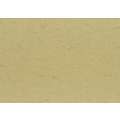Papel piel de elefante - 110 g/m², 50 x 70cm - 110g/m², beige