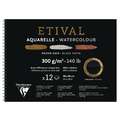 Papel acuarela negro Etival Clairefontaine - 300g/m², 36 cm x 48 cm, 300 g/m², Fin|Trapo