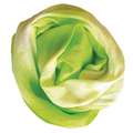 Colorante textil Viva Decor, 90 ml, Verde mayo