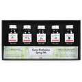 Set de tintas Jacques Herbin, 5 x 10 ml, Set