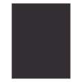 Tarjeta de rasca negra - 520 g/m2, 50 x 65 cm - la unidad