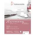 Papel Harmony Watercolour, Mate, 8 cm x 10,5 cm, 300 g/m², Bloc encolado 4 lados