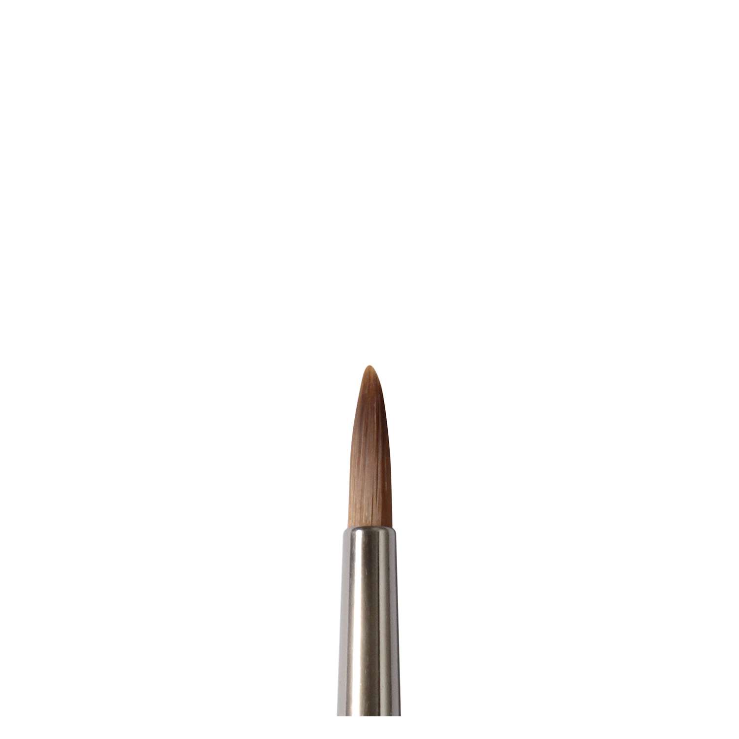 Daler Rowney Licenciado Cabra Blanca Pincel Oval Lavado 1 ES