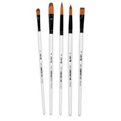 Set de 5 pinceles Darwi