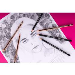Set Graduate Graphite Artistic Lyra