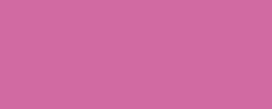 Rosa fucsia 058