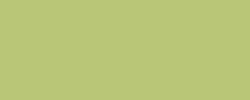 Té verde 169