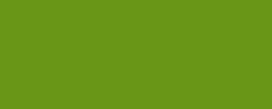 Aguacate 163