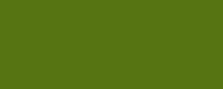 Verde helecho 164