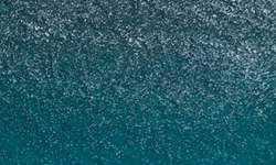 Pincel Ink Brush Sennelier