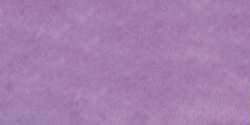 lavanda