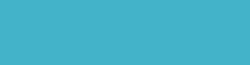 FBG-2 Fluorescent Dull Blue Green