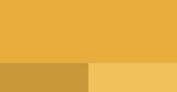 Amarillo Sahára - PY65