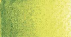 Verde Oliva claro