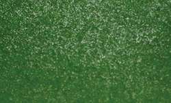 Pincel Ink Brush Sennelier