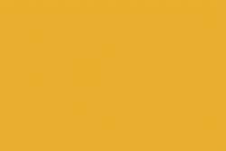 Amarillo  088