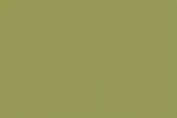 Amarillo-verde-tierra 156