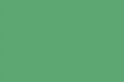 Verde 113