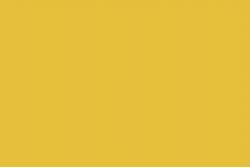 Amarillo  101