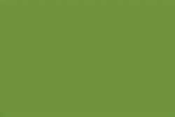 Verde 119