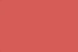 Rojo 009