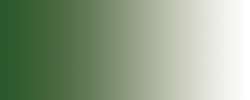 verde de vejiga - PY3 / PBk7 / PG36 / PY74