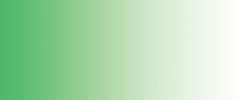 verde oscuro - PG7