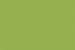 Amarillo-verde-tierra 145