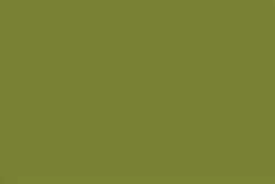 Amarillo-verde-tierra 143