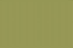 Amarillo-verde-tierra 142