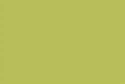 Amarillo-verde-tierra 148