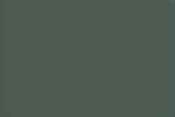 Gris 251