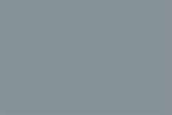 Gris 231