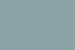 Gris 219
