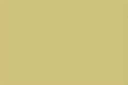 Gris 238