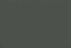 Gris 217