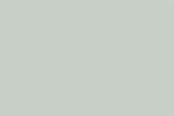Gris 221