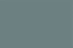Gris 218