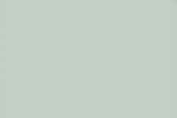 Gris 247