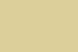 Gris 239