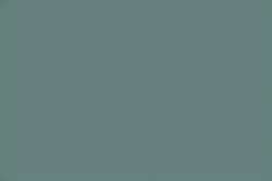 Gris 250