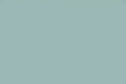 Gris 248