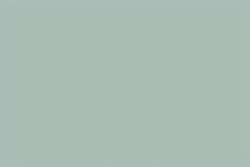 Gris 220