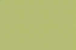 Amarillo-verde-tierra 155