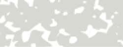 Gris 5