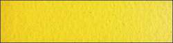 Amarillo Scheveningen medio - PY120
